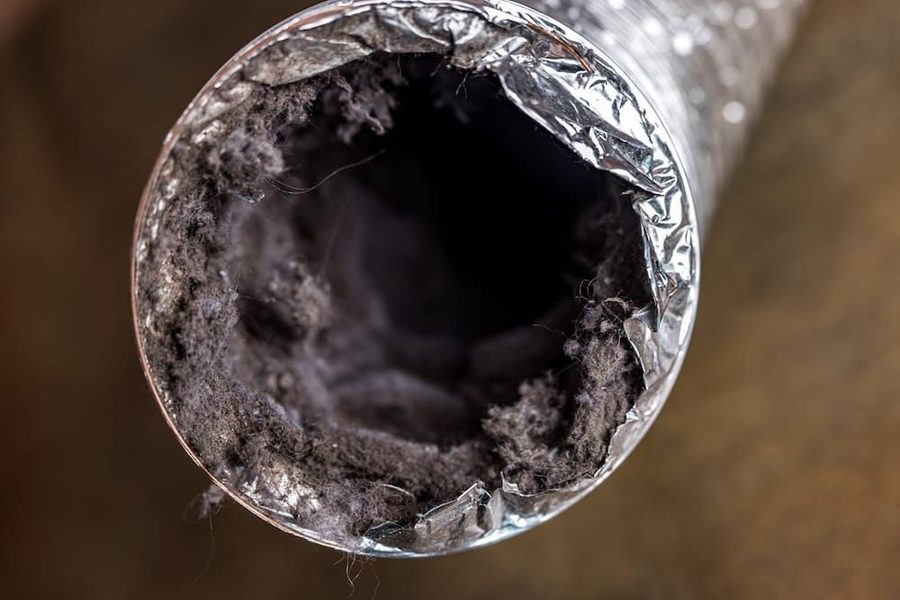 blog detail image